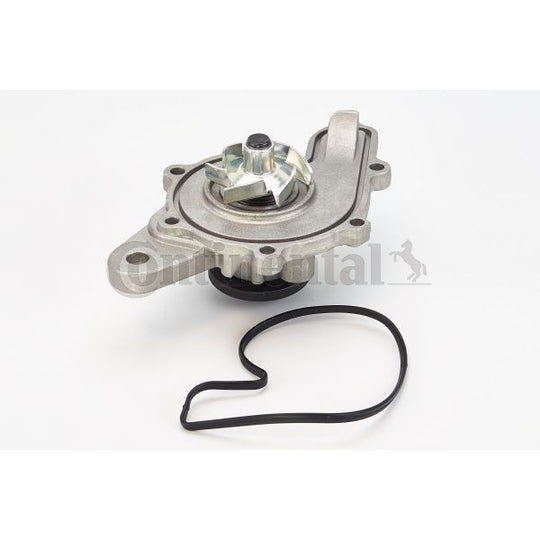 WPS3013 Water pump