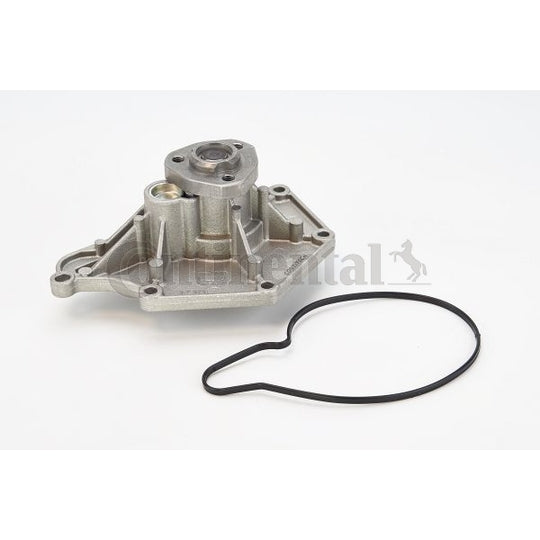 WPS3024 Water pump