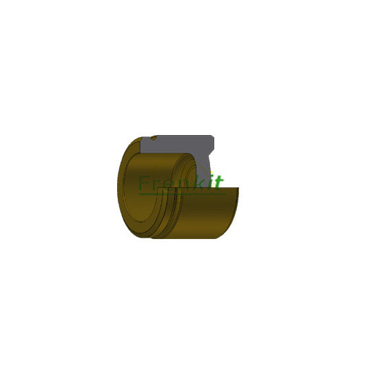 P665302 Piston, brake caliper