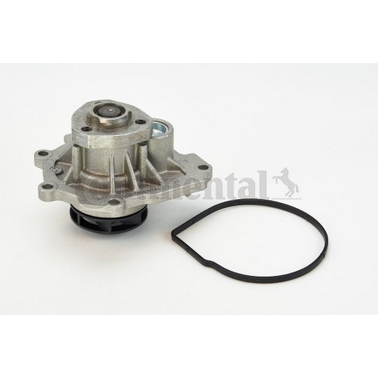 WP6071 Water pump