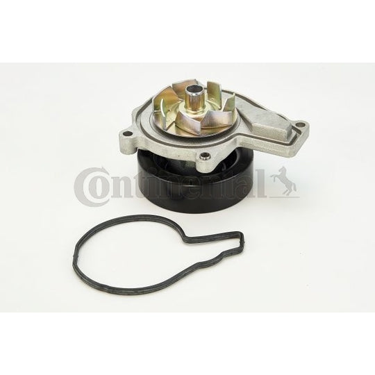 WPS3029 Water pump