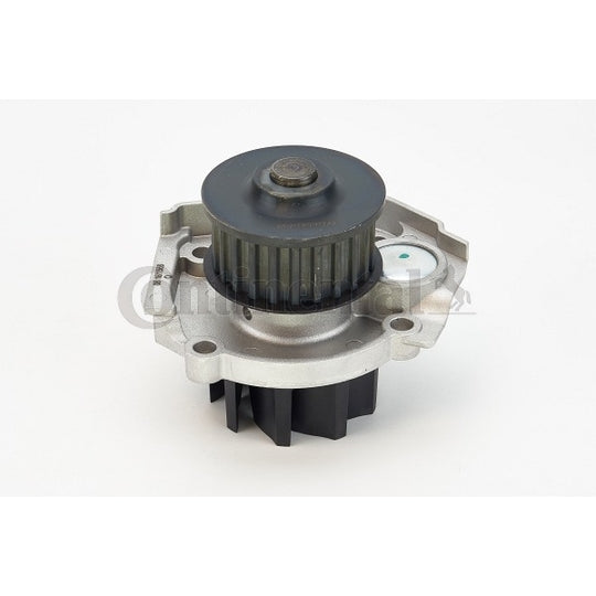 WP6042 Water pump