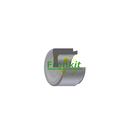 P422801 Piston, brake caliper
