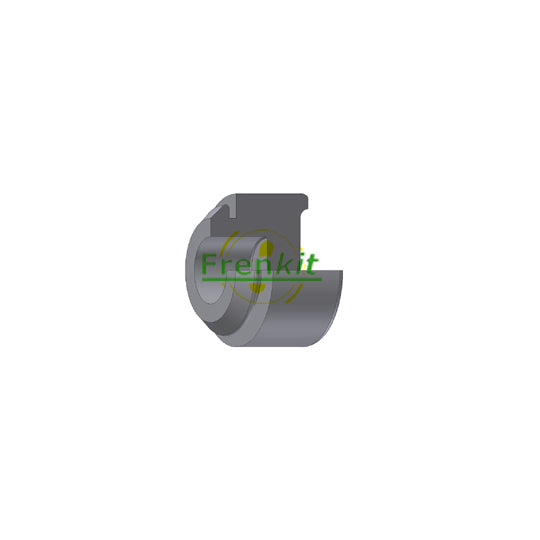 P503801 Piston, brake caliper
