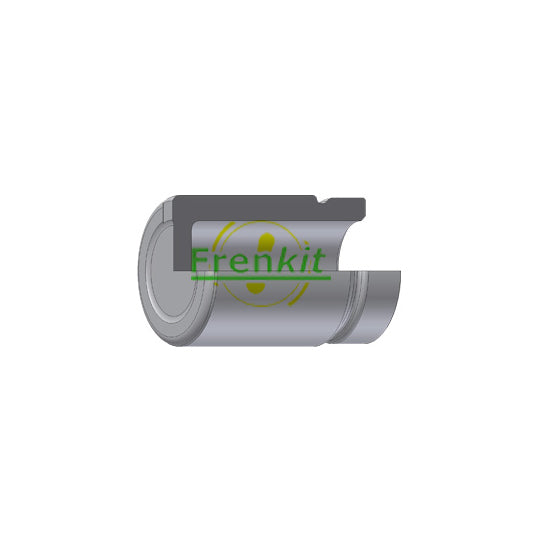 P304701 Piston, brake caliper