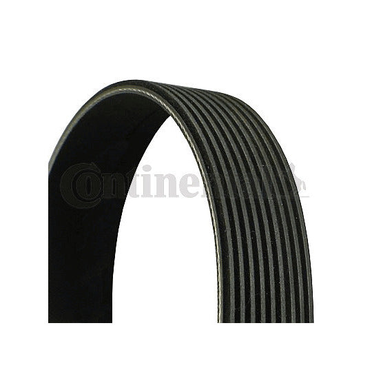 9PK2871 V-Ribbed Belt