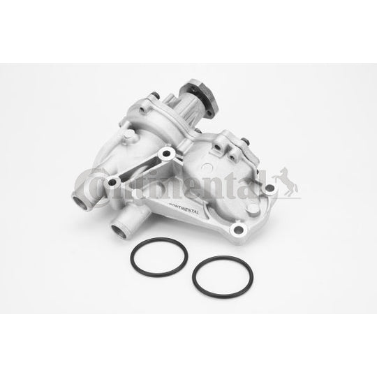 WPS3015 Water pump