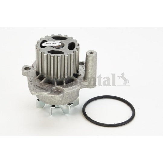 WP6001 Water pump