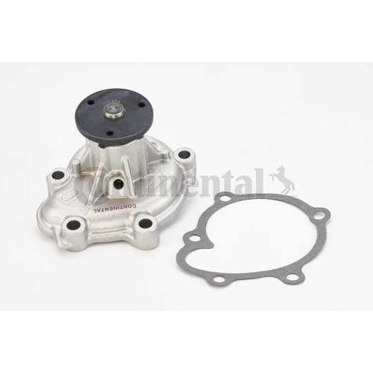 WPS3009 Water pump
