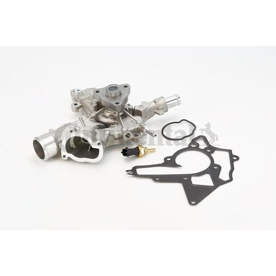 WPS3008 Water pump