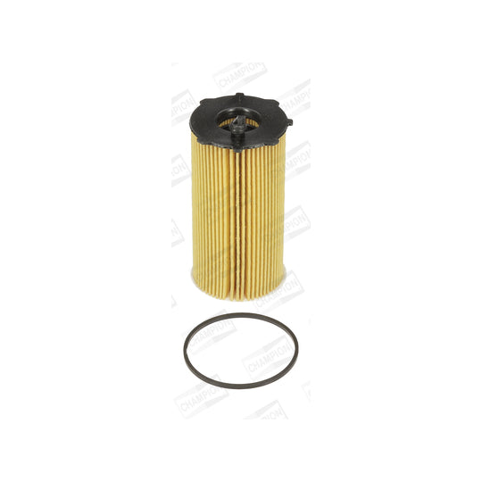 COF100613E Oil filter