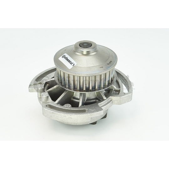 WP6034 Water pump