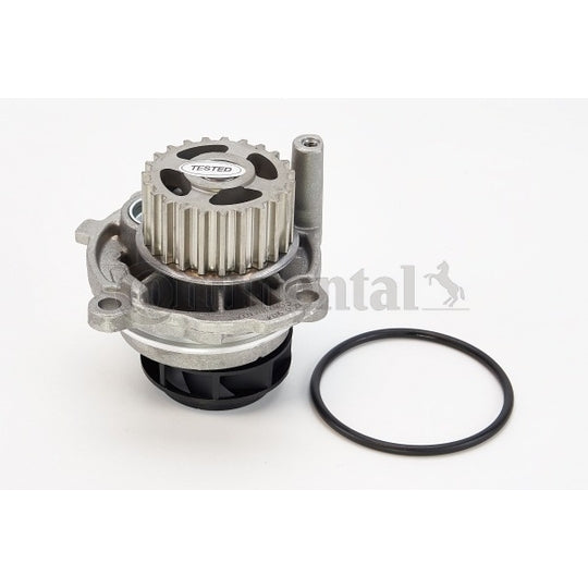 WP6010 Water pump