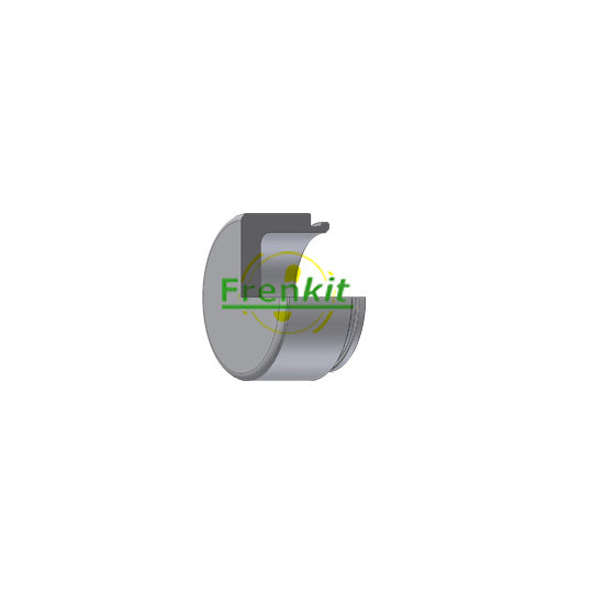 P482901 Piston, brake caliper