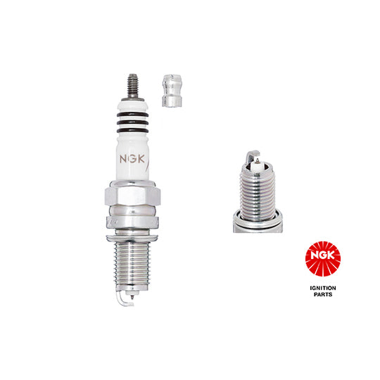 2316 Spark Plug