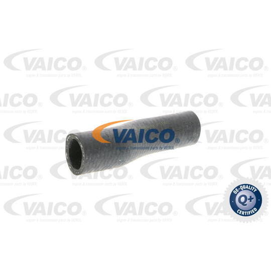 V10-0362 Radiator Hose