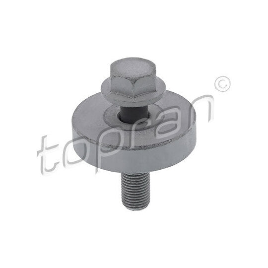 701 616 Pulley Bolt