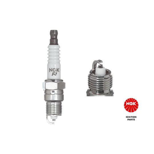 6945 Spark Plug