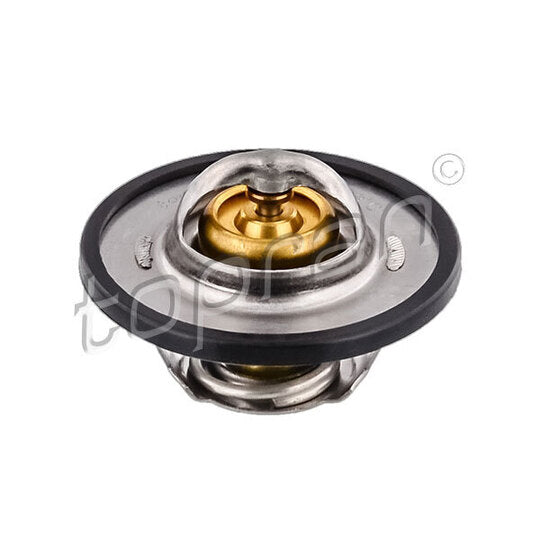 720 750 Thermostat, coolant
