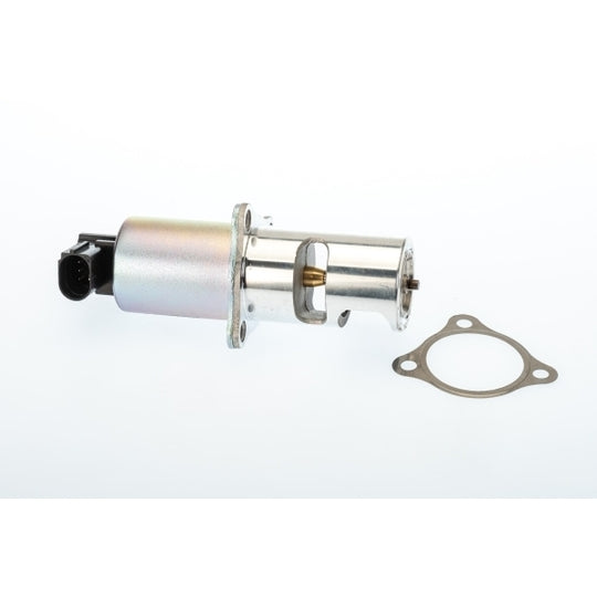 710725D/1 EGR Valve