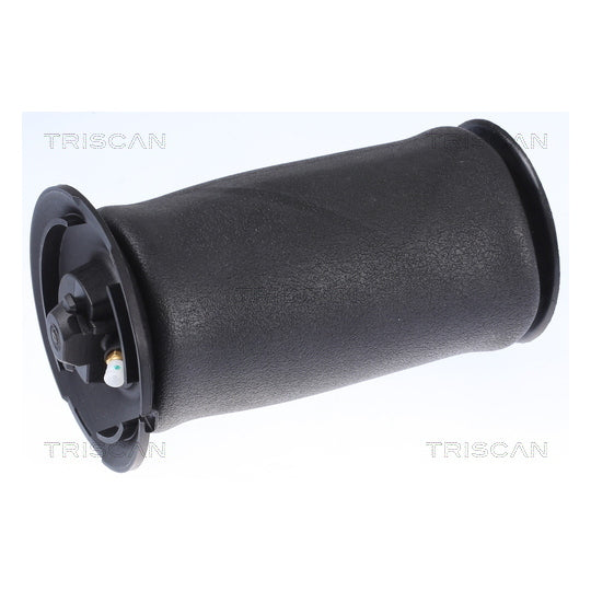 8720 11202 Air Spring, suspension