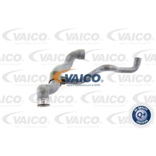 V30-1660 Radiator Hose