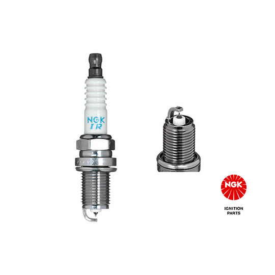 1313 Spark Plug