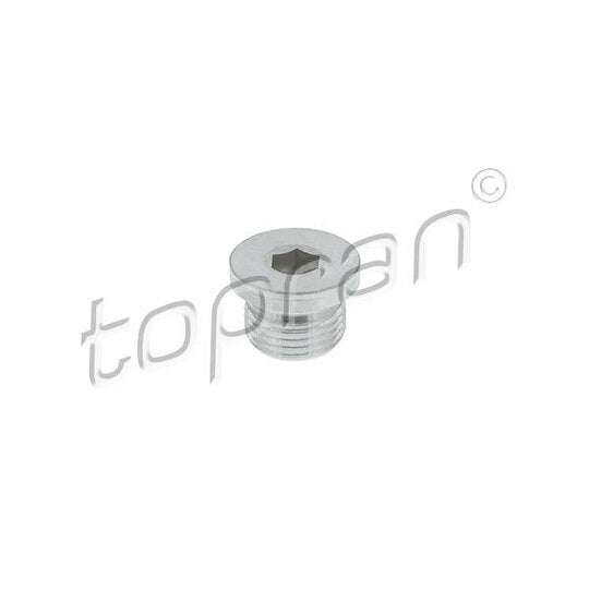 116 589 Sealing Plug, oil sump