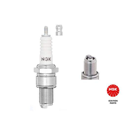 2411 Spark Plug