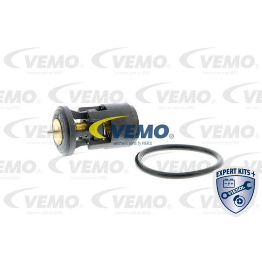 V15-99-2019 Thermostat, coolant