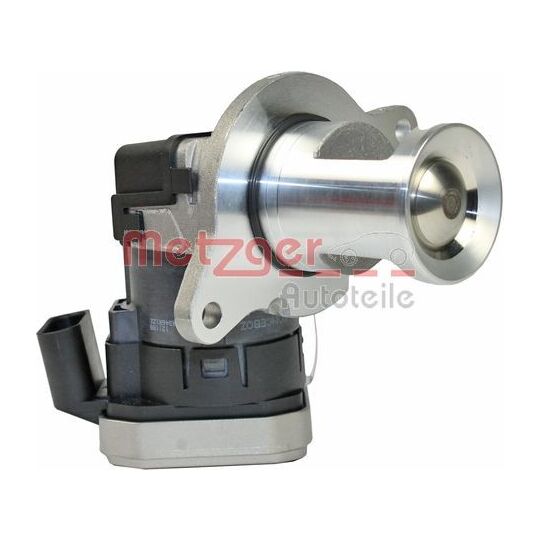 0892406 EGR Valve