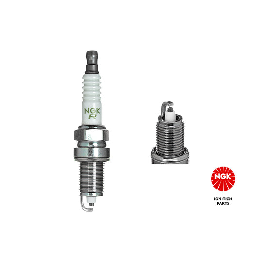 1041 Spark Plug