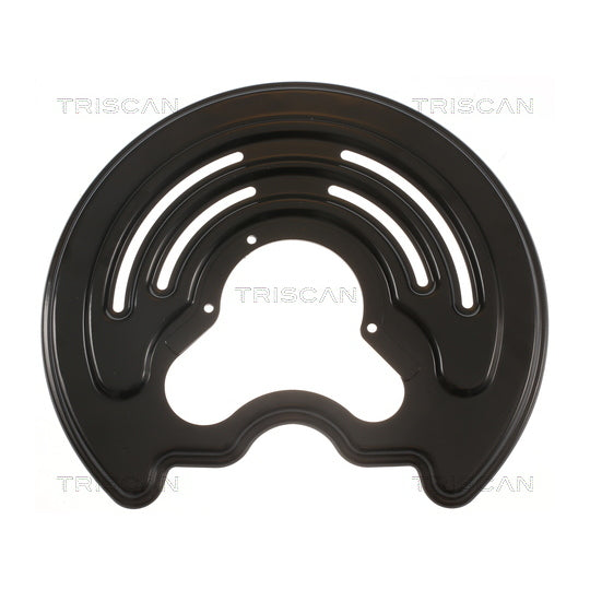 8125 25206 Splash Panel, brake disc