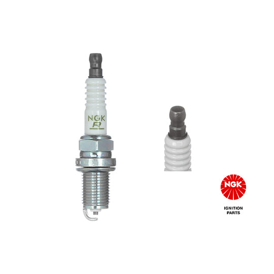 1662 Spark Plug