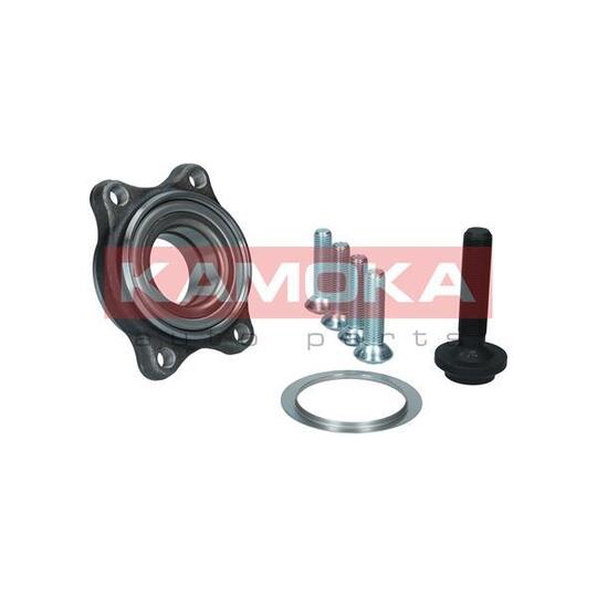 5500176 Wheel Bearing Kit