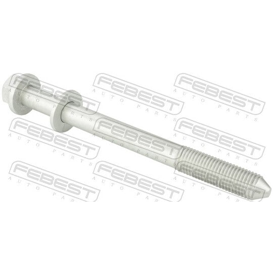 2198-009 Fastening Bolts, control arm