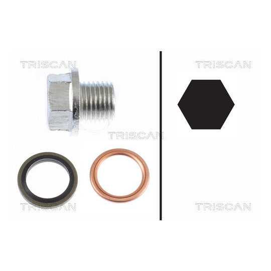 9500 1001 Sealing Plug, oil sump