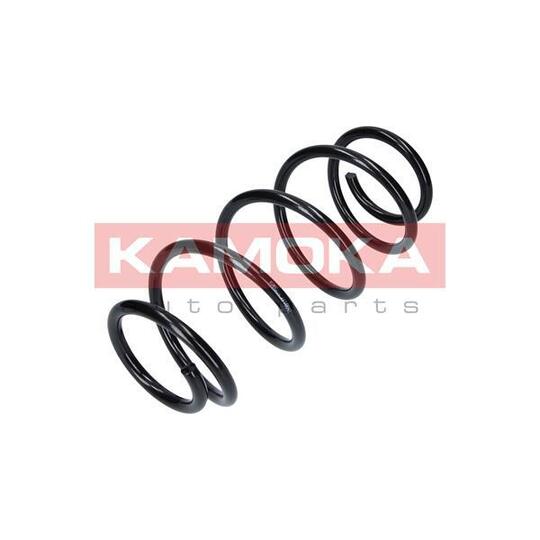 2110042 Coil Spring