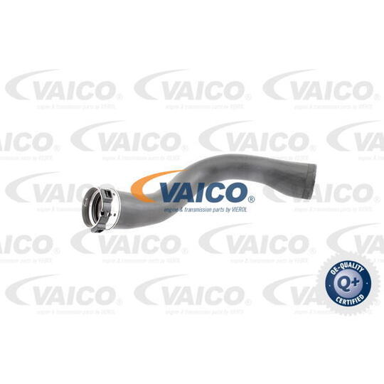 V40-1364 Charger Intake Hose