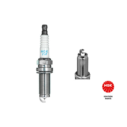 3656 Spark Plug