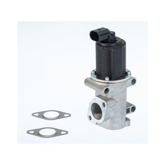 710770D/1 EGR Valve
