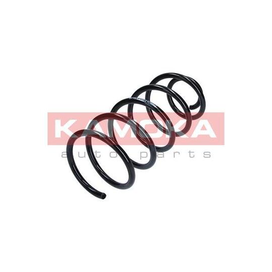2110076 Coil Spring