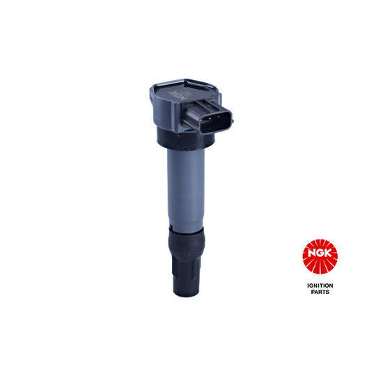 48317 Ignition coil