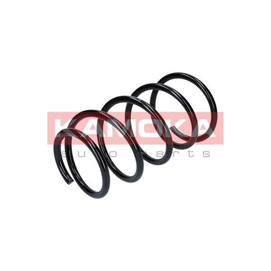 2110257 Coil Spring
