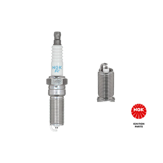 4559 Spark Plug