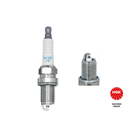 1152 Spark Plug