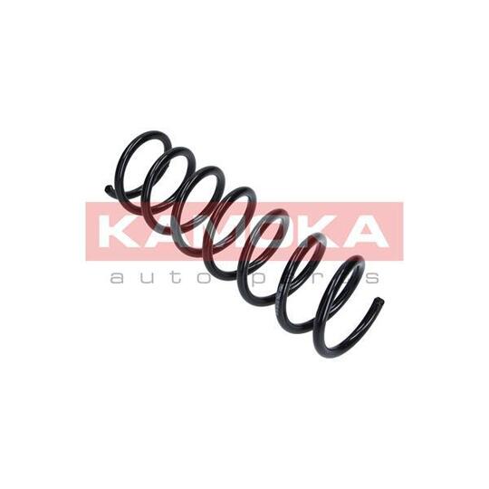 2120162 Coil Spring