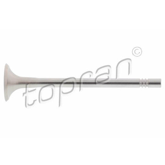 116 859 Outlet valve