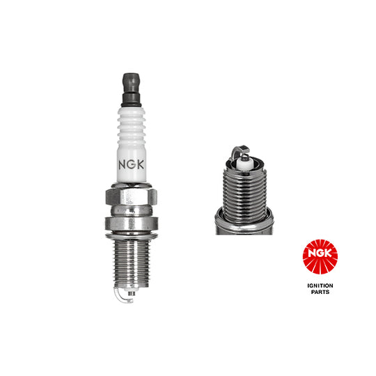7810 Spark Plug