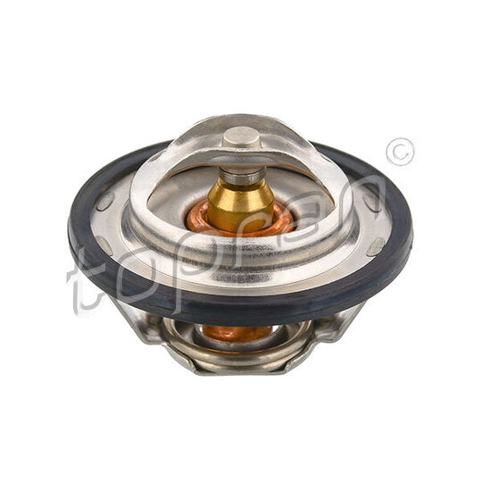 721 709 Thermostat, coolant